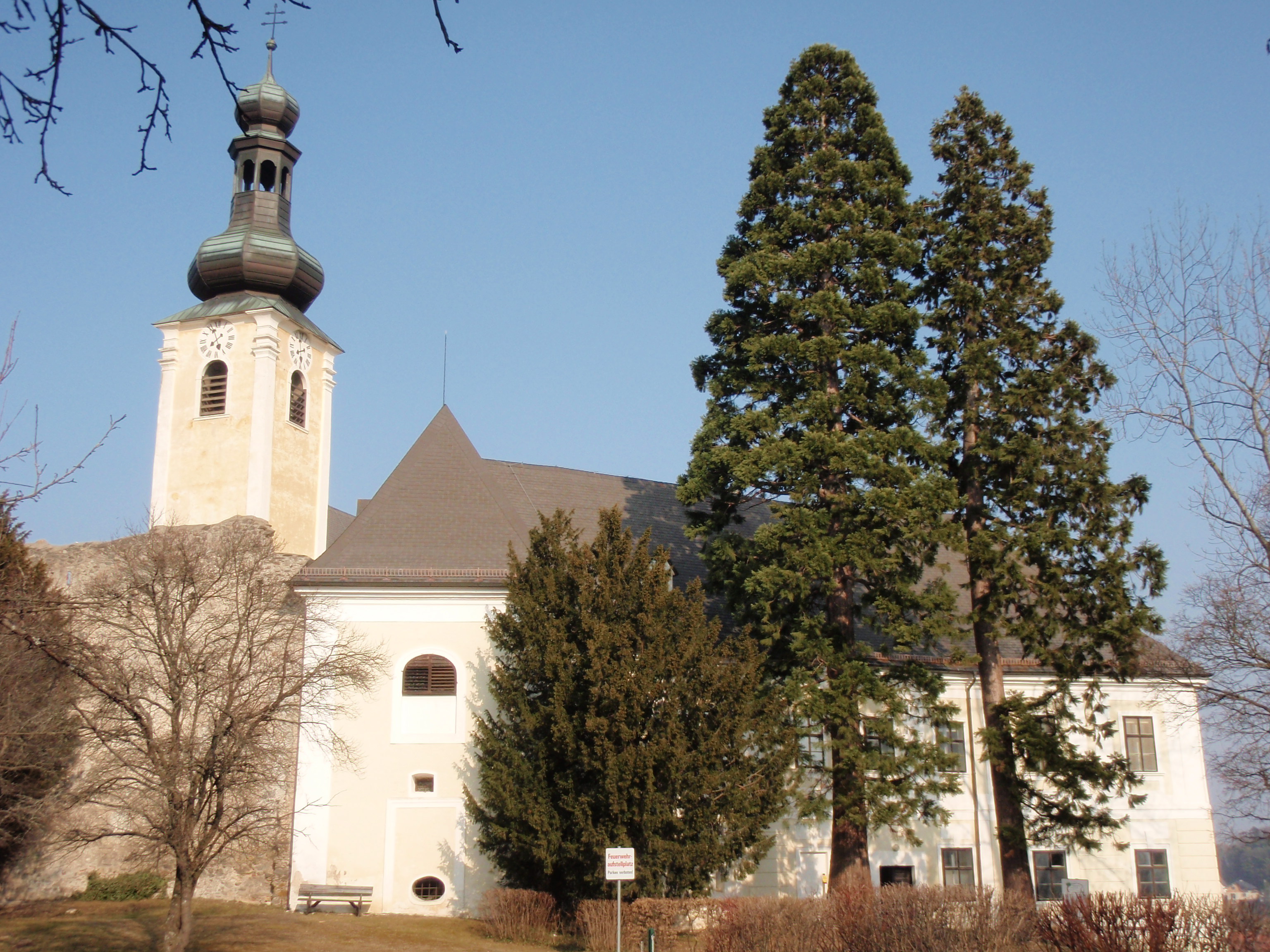 Bergmmauttbaum Schloss Gloggnitz